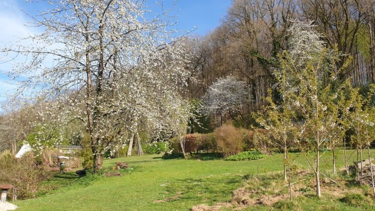 Durbuy - 09